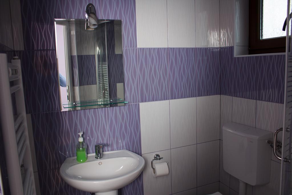 Pensiunea Viki Tau Bistra Room photo