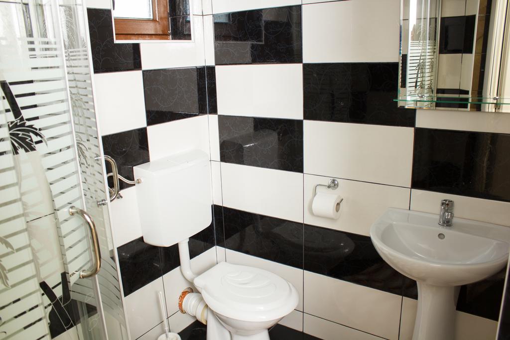 Pensiunea Viki Tau Bistra Room photo
