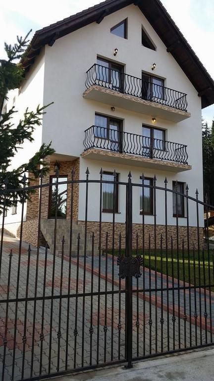 Pensiunea Viki Tau Bistra Exterior photo