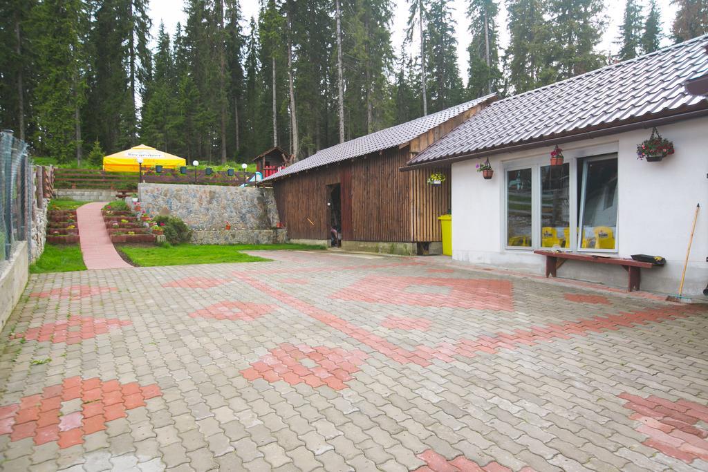 Pensiunea Viki Tau Bistra Exterior photo